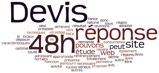 nuage devis référencement google